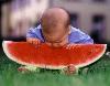 Next picture :: Hungry Baby