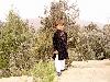 Previous picture :: zarit baba