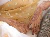 Previous picture :: Mehndi (Henna) Design for girls