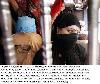 Previous picture :: Arrested eunuchs, who were arrested raid  conducted by police at the wedding ceremony of a man