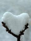Next picture :: rameen's favourite