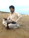 Next picture :: MALIK SAJID BANGULZAI