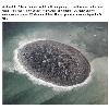 Previous picture :: NASA Releases Images of Pakistan â€˜Mud Islandâ€™ Formed By Earthquake