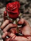 Previous picture :: DONT HEART AGAIN