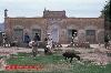 Previous picture :: Dar pa Dar Afghanistan