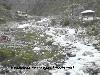 Next picture :: Saesta Pahktonista Sawat