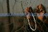 Next picture :: A Palestinian pilgrim holds prayer beads against a fence as they wait to pass from Gaza