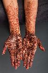 Previous picture :: Mehndi (Henna) Design for girls