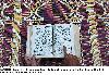 Previous picture :: Reciting Holy Quran in a mosque during Holy Fasting Month of Ramzan