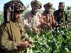 Previous picture :: Afghanistan