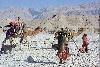 Balochistan Camels