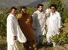 Next picture :: Jk wahid gul arif