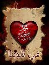 Bashir ahmed 