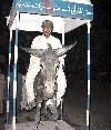 Next picture :: best city Trefic Police in quetta city