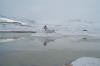 Next picture :: Hanna Jheel with Snow
