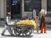 Next picture :: Mango wala