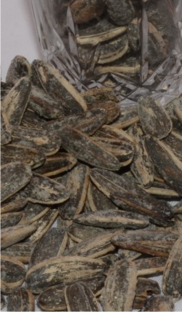 Sunflower Seed Dried